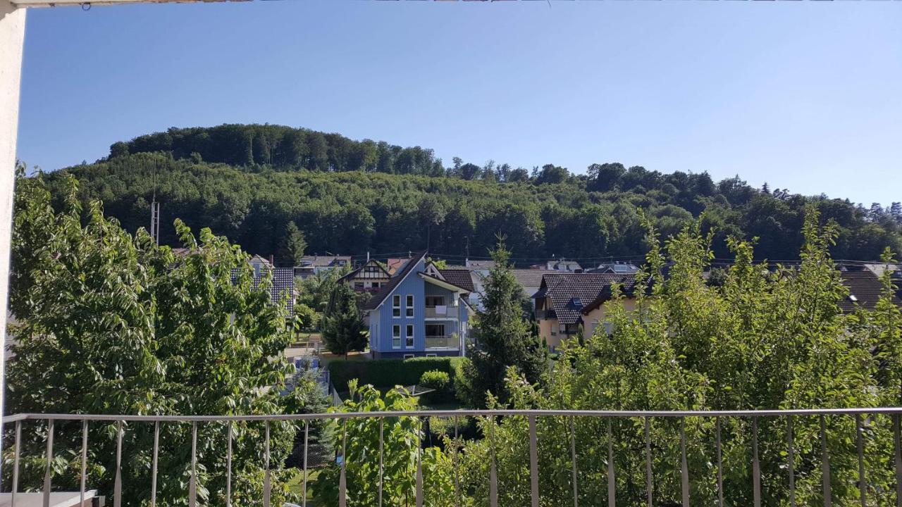 Ferienwohnungen Am Naturbad Lahr  Εξωτερικό φωτογραφία